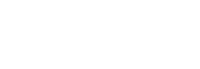 Logo zetCode